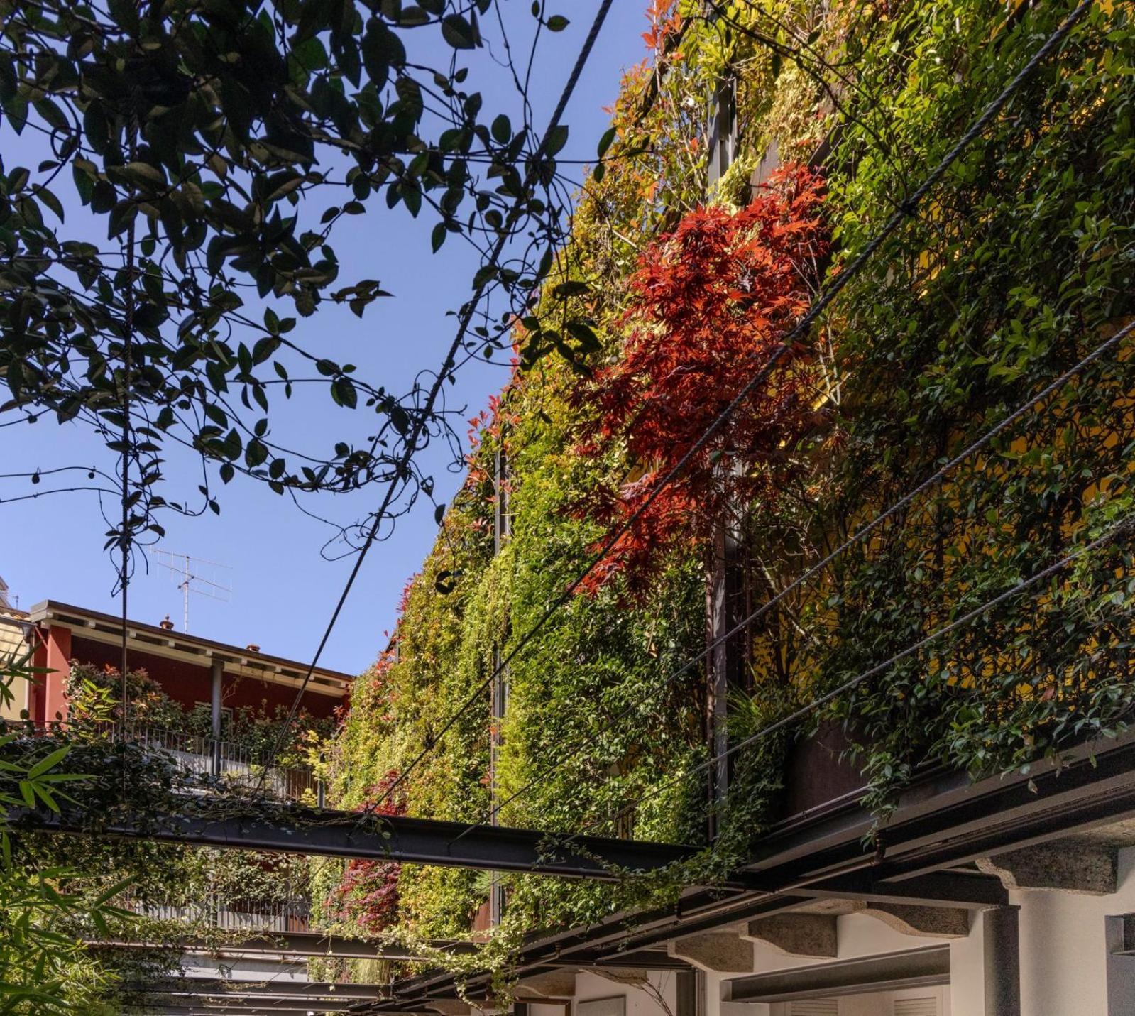Residence Casa Coppa Appartamento Maple Omegna Kültér fotó